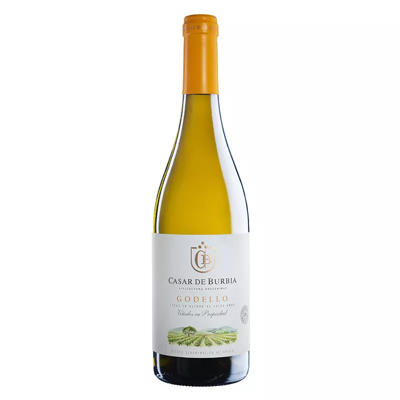 CASAR DE BURBIA - GODELLO 2023