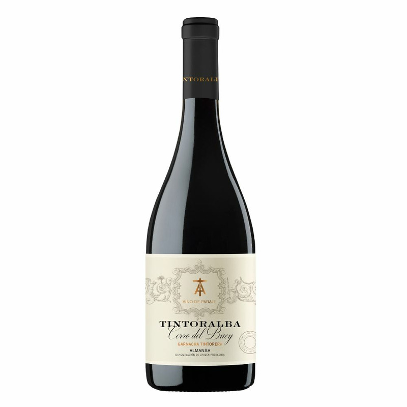 TINTORALBA CERRO DEL BUEY 2022