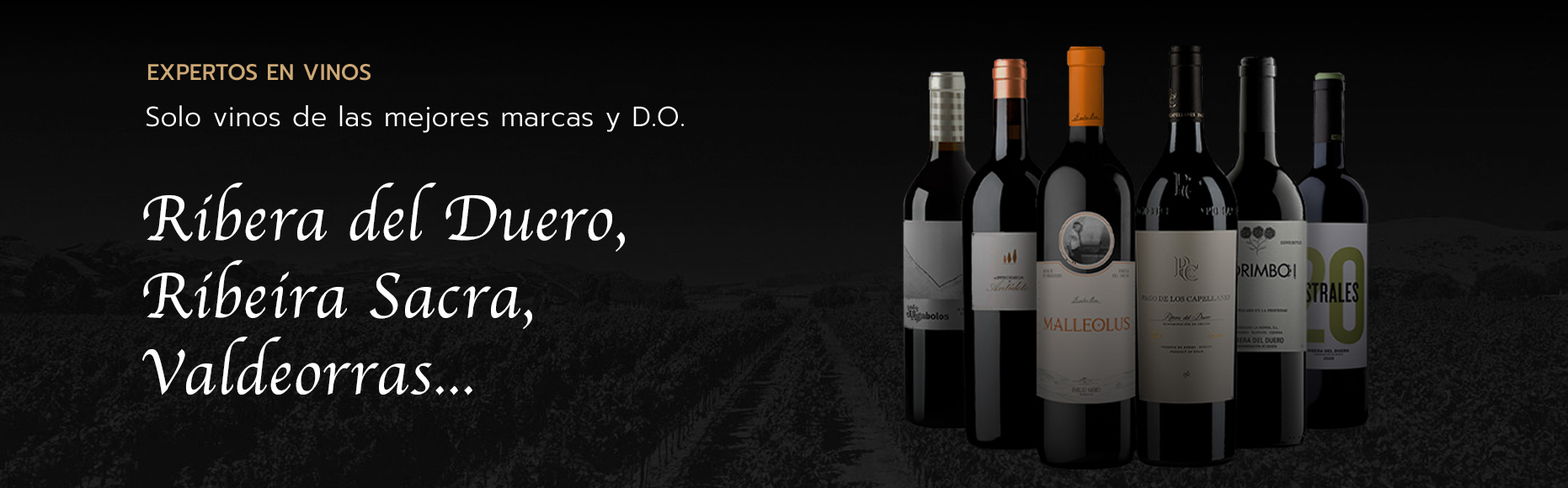 Vinos