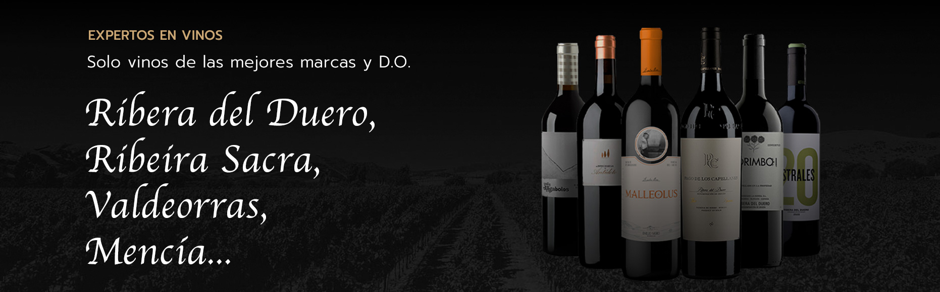 Vinos